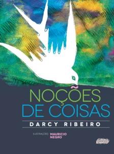 Noções de coisas